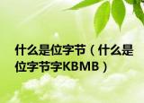 什么是位字节（什么是位字节字KBMB）