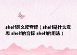 shelf怎么读音标（shelf是什么意思 shelf的音标 shelf的用法）
