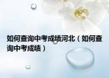 如何查询中考成绩河北（如何查询中考成绩）