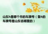 山东h是哪个市的车牌号（鲁h的车牌号是山东省哪里的）