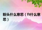 粉头什么意思（ft什么意思）