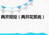 两开双控（两开花系统）
