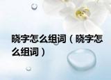 晓字怎么组词（晓字怎么组词）