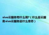vivo云服务有什么用?（什么是云服务vivo云服务是什么意思）