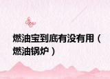 燃油宝到底有没有用（燃油锅炉）