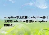 adaptive怎么读的（adaptive是什么意思 adaptive的音标 adaptive的用法）