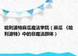 哈利波特麻瓜魔法学院（麻瓜 《哈利波特》中的非魔法群体）