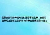 盆栽富贵竹的养殖方法和注意事项土养（富贵竹的养殖方法和注意事项 教你养出健康富贵竹 图）