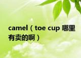 camel（toe cup 哪里有卖的啊）