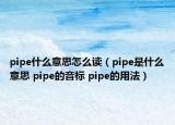 pipe什么意思怎么读（pipe是什么意思 pipe的音标 pipe的用法）
