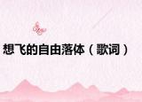 想飞的自由落体（歌词）