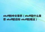 stuff的中文意思（stuff是什么意思 stuff的音标 stuff的用法）