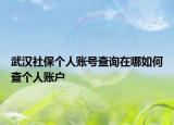 武汉社保个人账号查询在哪如何查个人账户