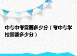 中专中考需要多少分（考中专学校需要多少分）
