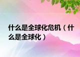 什么是全球化危机（什么是全球化）