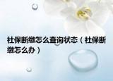 社保断缴怎么查询状态（社保断缴怎么办）