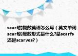 scarf的复数英语怎么写（英文单词scarf的复数形式是什么?是scarfs还是scarves?）