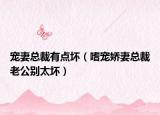 宠妻总裁有点坏（嗜宠娇妻总裁老公别太坏）