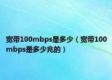 宽带100mbps是多少（宽带100mbps是多少兆的）