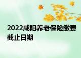 2022咸阳养老保险缴费截止日期