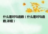 什么是对勾函数（什么是对勾函数,详细）