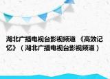 湖北广播电视台影视频道 《高效记忆》（湖北广播电视台影视频道）