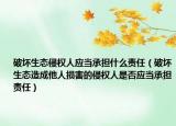 破坏生态侵权人应当承担什么责任（破坏生态造成他人损害的侵权人是否应当承担责任）
