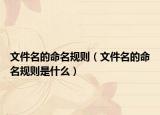 文件名的命名规则（文件名的命名规则是什么）