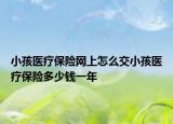 小孩医疗保险网上怎么交小孩医疗保险多少钱一年