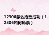 12306怎么抢票成功（12306如何抢票）