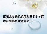 压燃式发动机的压力是多少（压燃发动机是什么意思）
