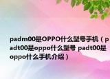 padm00是OPPO什么型号手机（padt00是oppo什么型号 padt00是oppo什么手机介绍）