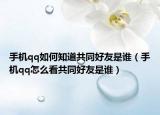 手机qq如何知道共同好友是谁（手机qq怎么看共同好友是谁）