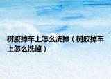 树胶掉车上怎么洗掉（树胶掉车上怎么洗掉）