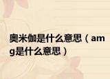 奥米伽是什么意思（amg是什么意思）