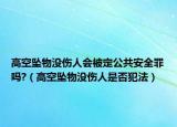 高空坠物没伤人会被定公共安全罪吗?（高空坠物没伤人是否犯法）