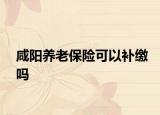 咸阳养老保险可以补缴吗