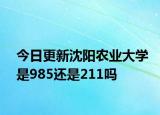 今日更新沈阳农业大学是985还是211吗