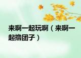 来啊一起玩啊（来啊一起撸团子）