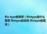 file type啥意思（filetype是什么意思 filetype的音标 filetype的用法）