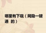 哪里有下载（网隐一键通  的）