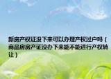 新房产权证没下来可以办理产权过户吗（商品房房产证没办下来能不能进行产权转让）