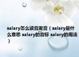salary怎么读音发音（salary是什么意思 salary的音标 salary的用法）