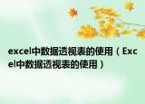 excel中数据透视表的使用（Excel中数据透视表的使用）