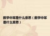 数学中幂是什么意思（数学中幂是什么意思）
