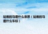 站着的马是什么意思（站着的马是什么车标）