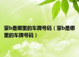 蒙b是哪里的车牌号码（蒙b是哪里的车牌号码）