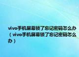 vivo手机屏幕锁了忘记密码怎么办（vivo手机屏幕锁了忘记密码怎么办）