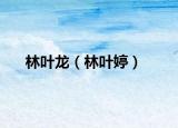 林叶龙（林叶婷）