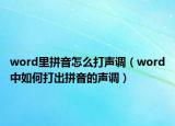 word里拼音怎么打声调（word中如何打出拼音的声调）